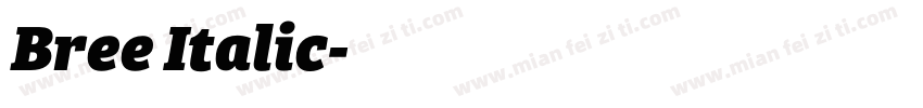 Bree Italic字体转换